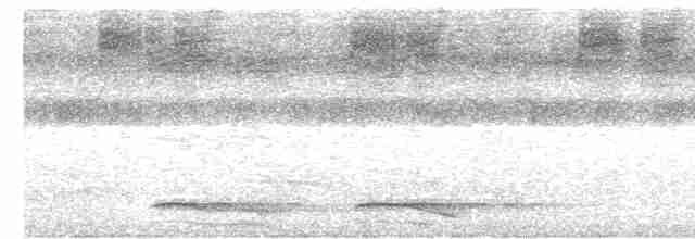 Carnifex de Buckley - ML538496111