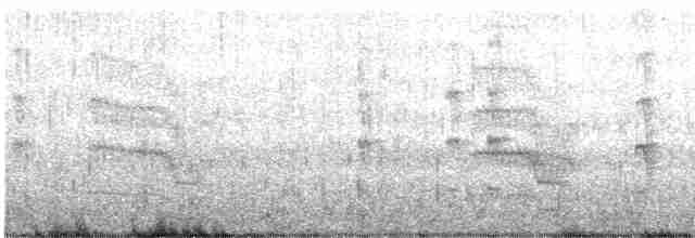 Common Tern - ML538507801
