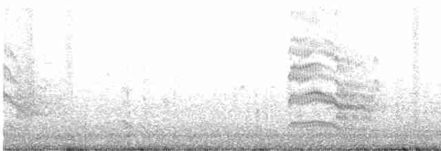 Common Tern - ML538512831