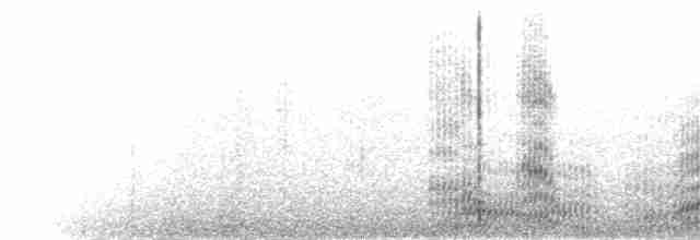  - Silver Gull (Silver)