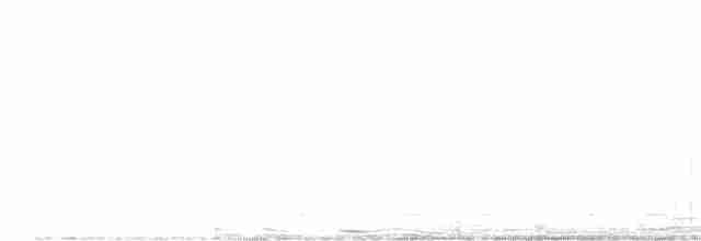 Сичик-горобець гірський (підвид cobanense) - ML538611691