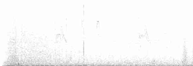 Pileated Woodpecker - ML538647011