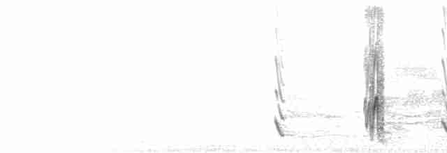  - Crimson Rosella (Crimson)