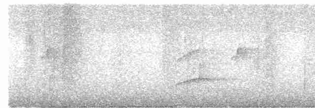 Kara Tepeli Küçük Tiran - ML538669161