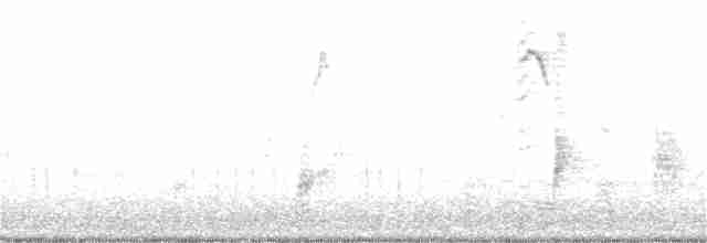 European Starling - ML53871151