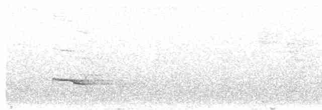 Eurylaime de Gould - ML538878051