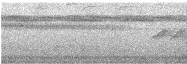 Тиран-карлик амазонійський - ML538913911