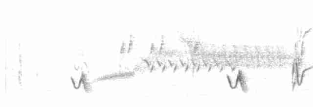 Cuitlacoche Ocelado - ML538954821