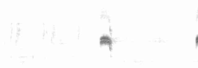 Каньонный крапивник - ML538955061