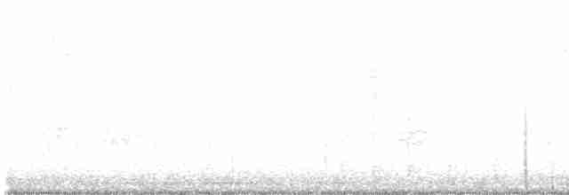 Белогорлая зонотрихия - ML539152001