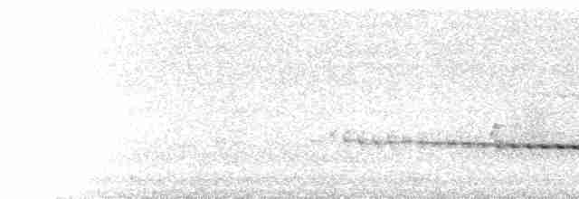  - Shining Flycatcher