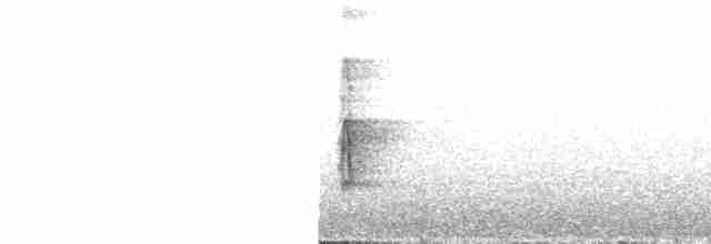 strakapoud velký [skupina major] - ML539229511
