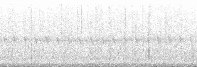 Mérulaxe argenté (argentifrons) - ML53924