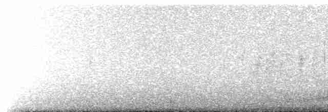 Южный гигантский буревестник - ML539243251