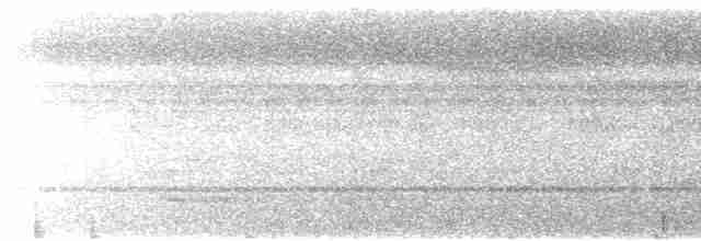 Slaty-tailed Trogon - ML539247391