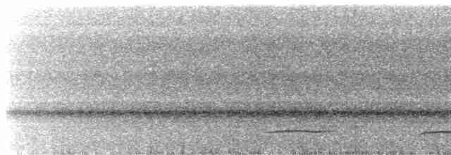 Northern Black-throated Trogon - ML539254721