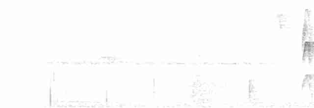 Лопатодзьоб білогорлий - ML539306791