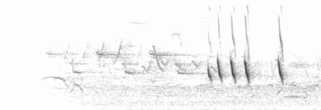  - European Greenfinch