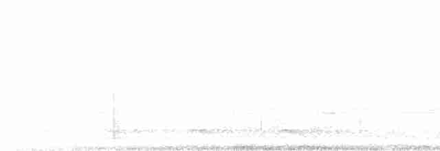 Karolina Çıtkuşu - ML539360