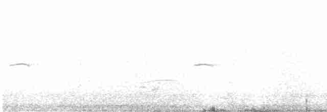 Common Chiffchaff (Siberian) - ML539402381