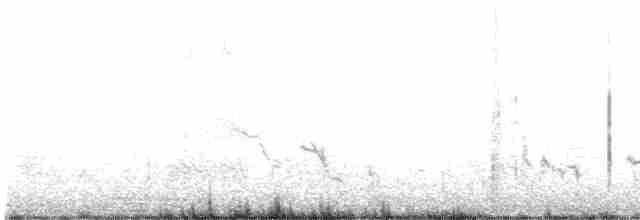 Western Meadowlark - ML539408301