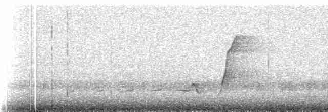 Batılı Altuni Islıkçı - ML539414