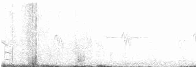 Лінивка-смугохвіст плямистобока - ML539469681