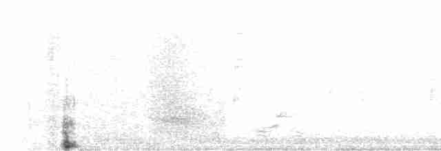 Морщинистоклювая ани - ML539475201