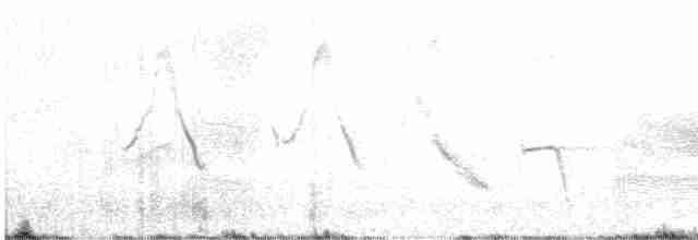 Long-tailed Meadowlark - ML539491871