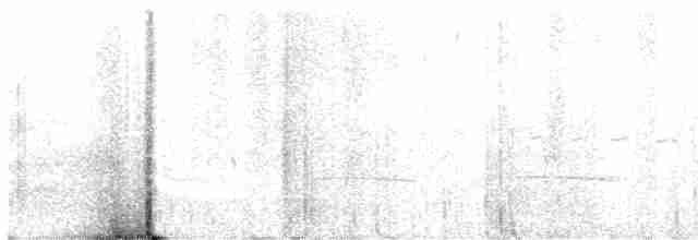 Tinamou sauvageon - ML539506031