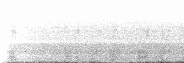 Bernache cravant (nigricans) - ML539581531