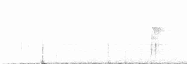strakapoud americký [skupina harrisi] - ML539582891