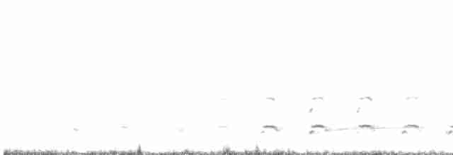 Орлан-білохвіст - ML539619551