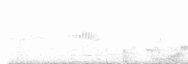Slender-billed Oriole - ML539632231