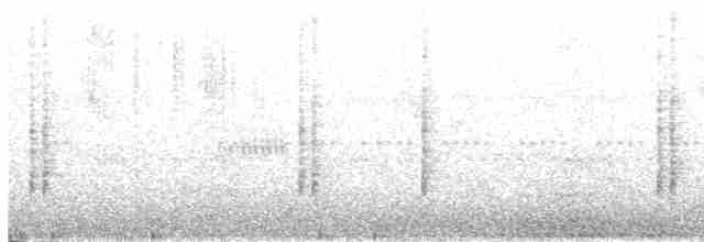 Oriental Reed Warbler - ML539632261