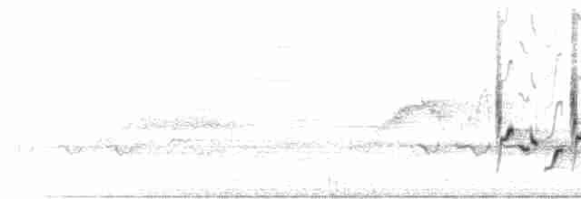 Karolina Çıtkuşu - ML539654