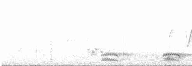 krkavec krátkoocasý - ML539654831