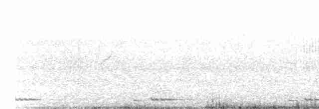 Kahverengi Başlı Barbet - ML539689621