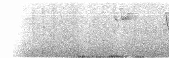 White-naped Brushfinch - ML539704871
