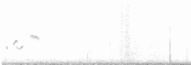 Rotsteiß-Spottdrossel - ML539740691