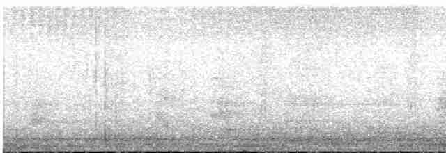 Kara Boğazlı Bronz Kumru - ML539743991