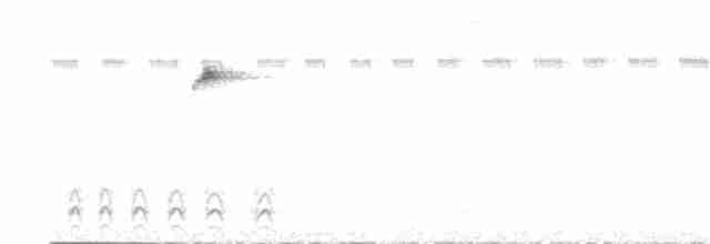 Planalto Gri Karıncaavcısı - ML539747521