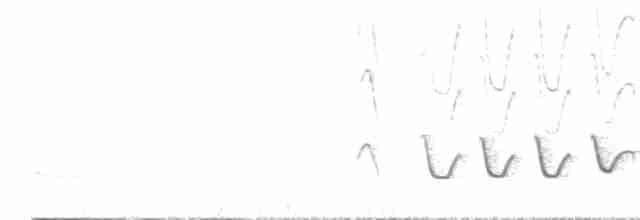 Белокрылый бекард - ML539750601