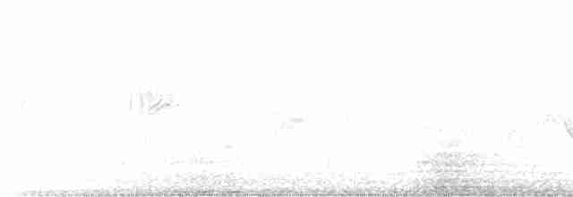purpurfink (californicus) - ML539756