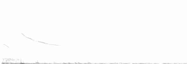 Chihuahuan Meadowlark - ML539762401