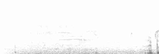 Серый юнко (Орегонский) - ML539777