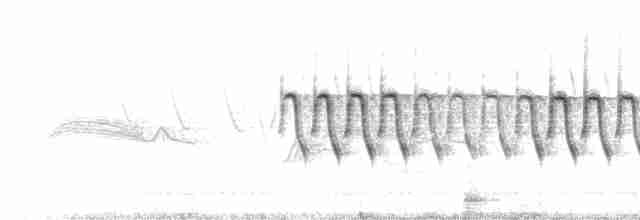 ユキヒメドリ（oreganus グループ） - ML539784