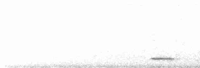 Сичик-горобець євразійський - ML539845391