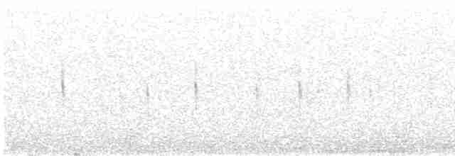 Damalı Sepetören [sclateri grubu] - ML539883881