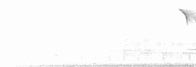 hvitbrynsvartspett - ML539895